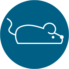 mouse icon